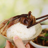 【2袋减5元 3袋减10元】【袋装发货】【新菇上市】特级品质鹿茸菇 干净无泥沙 可煲汤 做干锅菜 营养满满~ 湖州仓 商品缩略图5