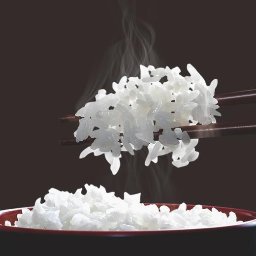 鸣象尊桂油粘米5KG 商品图4