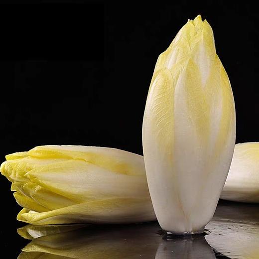 寿光   玉兰菜：“避光生长的蔬菜贵族”500g
 商品图0