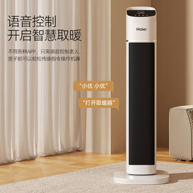 海尔（Haier）取暖器2050A暖风机家用电暖器遥控电暖气速热节能直流双风轮热风机轻音立式小太阳烤火炉卧室办公暖风扇 【直流电机/强劲暖风】2050A