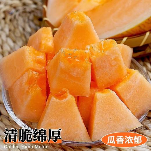 海南黄金蜜瓜 香甜多汁 比西州蜜更脆甜 商品图2