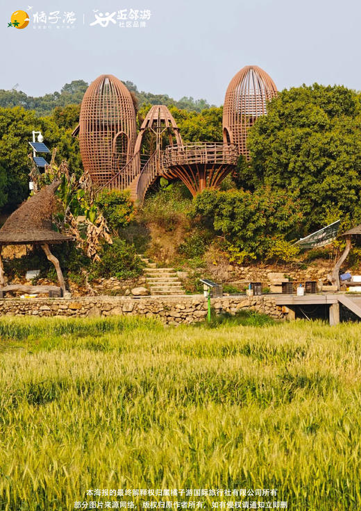 【喜柿年年】从化罗洞工匠小镇+上罗村柿子林1日游 商品图2