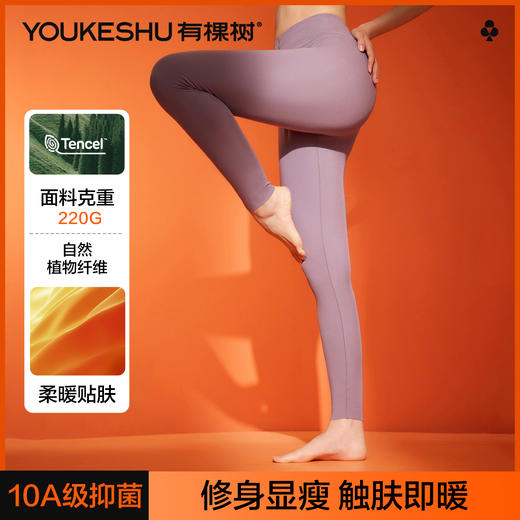 【50S发热丝】【10A抑菌】【M-2XL】【有棵树】女士莫代尔秋裤保暖裤 商品图6