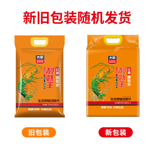 红香靓虾王5kg 商品图7