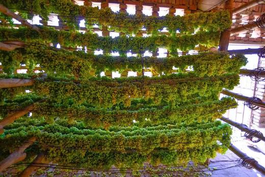 【休闲健康小零食】新疆特产 无核葡萄干 无花果干 即食 泡水煲汤 商品图6