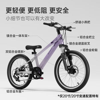KinderKraftKK儿童自行车4-6-12岁学生单骑行车青少年男女孩礼物山地车20寸紫 商品图3