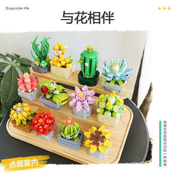 费米（Femibox）兼容乐高儿童拼装积木玩具花摆件生日礼物多肉-观音莲S2318 商品图6