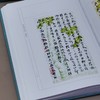 特惠！！《许宝蘅藏札》，布面精装，一函两册，16开，许恪儒编，中华书局2013年一版一印，932页，定价980，售价：358元。 商品缩略图9