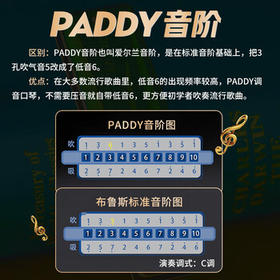 SUZUKI日本铃木进口HA20布鲁斯十孔PADDY调音10孔口琴高级成人专业演奏