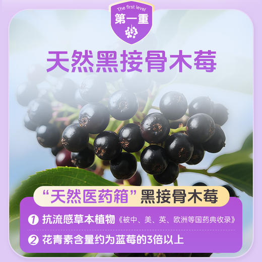 【全球购】澳立佳接骨木莓液饮500ml/瓶 商品图5