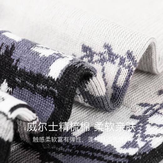 CORGI柯基英国进口袜 英国街景印花潮袜秋冬季中筒袜 商品图4