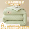 【被套可拆卸清洗】华夫格可拆洗新疆棉花被 冬被春秋被被芯 商品缩略图0