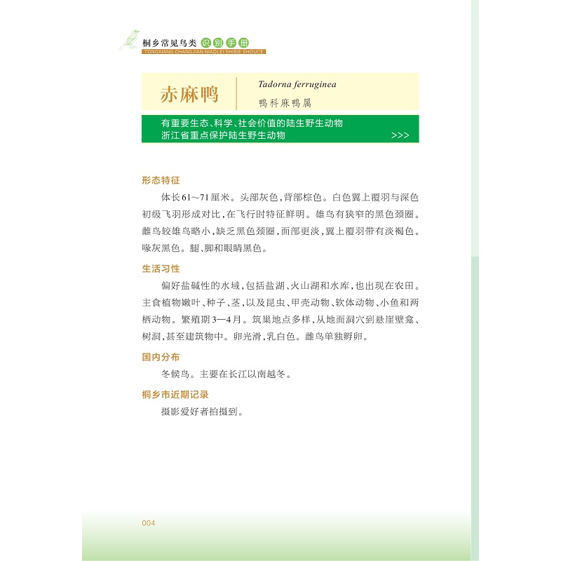 试读PDF-9787308267427(1-1)-桐乡常见鸟类识别手册_007.jpg