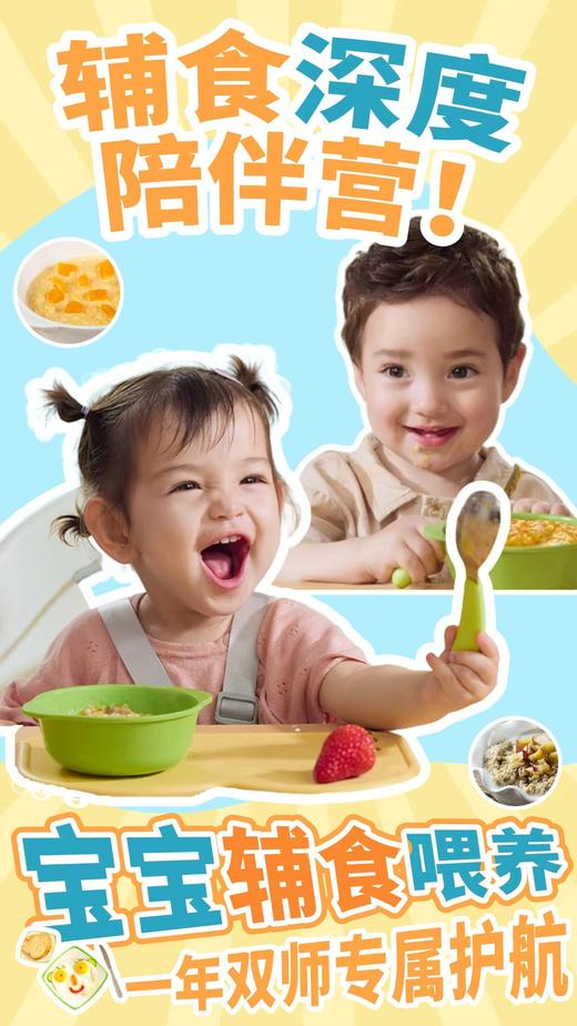 辅食深度陪伴营 商品图0