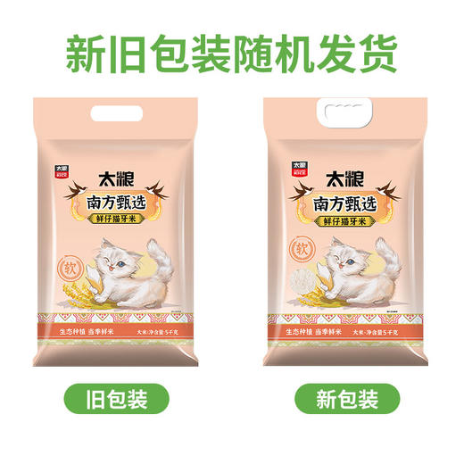 南方甄选鲜仔猫牙米5kg 商品图6