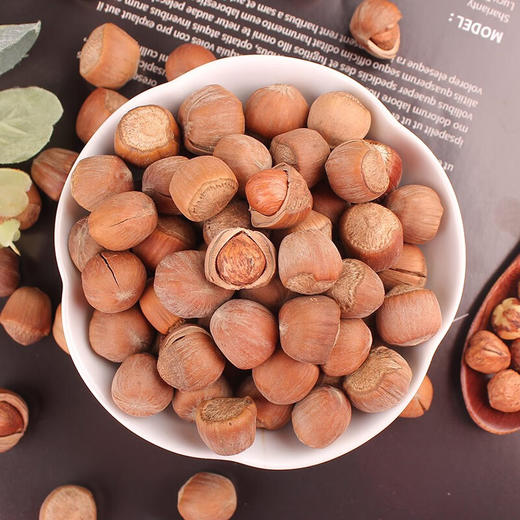 【长白山脚下野生，香脆过瘾】东北林区榛子500g/袋 颗颗饱满 商品图5