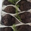 大凉山高海拔野生黑松露！每一颗都是自然馈赠的 “地下黑金” 商品缩略图2