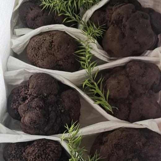 大凉山高海拔野生黑松露！每一颗都是自然馈赠的 “地下黑金” 商品图2