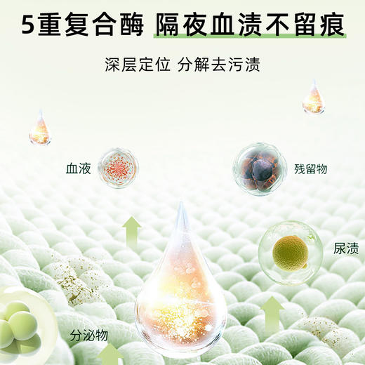 ² 29.9元/4件【五重复合酶草本内衣洗衣液】HM02-CRMM-BP 商品图2