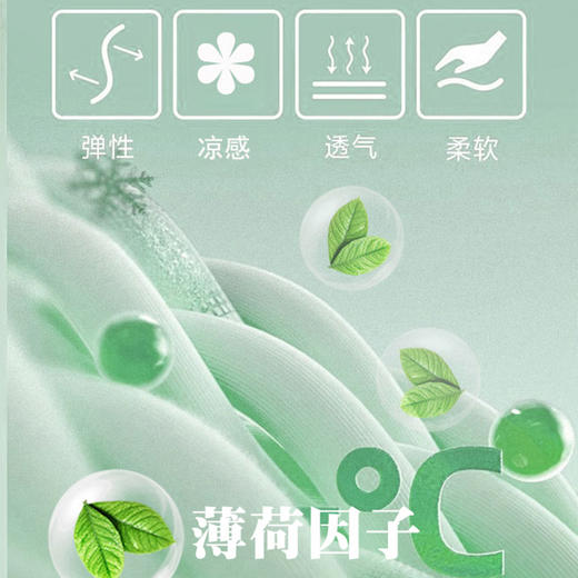 【夏季女士短袖T恤】触感冰凉  柔软透气舒适  100支丝光莫代尔短袖T/60支天丝螺纹短袖T可选 商品图4