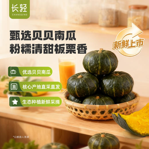 【顺丰发货】长轻 贝贝南瓜 4-4.5斤/箱（4-8个果） 当季新瓜现摘现发坏果包赔 商品图0