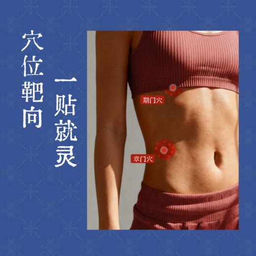 【真不二】新品红花巴夏嘎贴护肝贴藏药膏药贴（20贴/盒） 商品图2