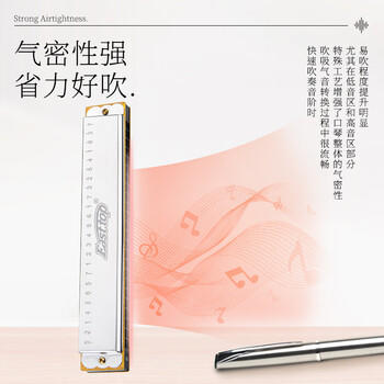 东方鼎（EAST TOP）24孔复音口琴T2401S银色盖板红色塑盒初学入门款 商品图0