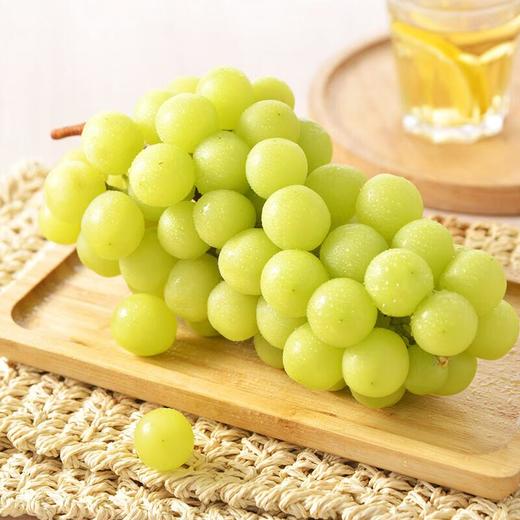 看得见的放心青提 750g/份 商品图0