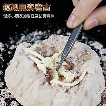 爸爸妈妈火山爆发喷发科学小实验套装包恐龙儿童玩具幼儿园学生diy手工 商品图2