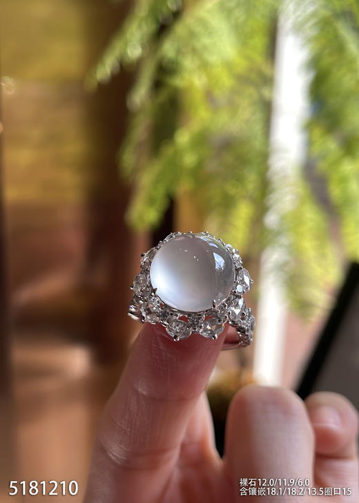 5181210，蛋面戒指。具体价格微信咨询 商品图3