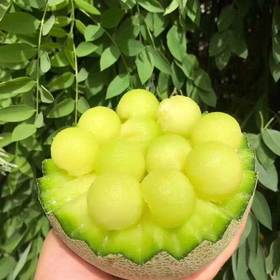 海南网纹瓜 软糯香甜多汁多味