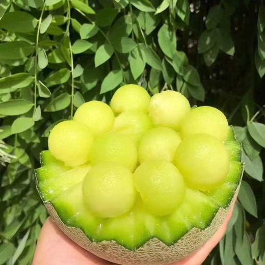 海南网纹瓜 软糯香甜多汁多味 商品图0