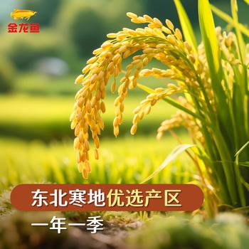 金龙鱼 长粒香大米 东北长粒香 10斤 /粮油调味 /米 /长粒香米 商品图2