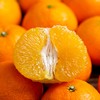 象山红美人  | 橘中爱马仕 顶级果品 甜蜜爆汁 果肉细腻 可以吸着吃的果冻橘 商品缩略图3