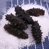 大连壮元海 速发干海参 商品缩略图0