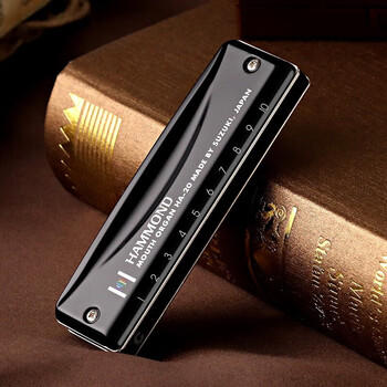 SUZUKI日本铃木进口HA20布鲁斯十孔PADDY调音10孔口琴高级成人专业演奏 商品图1