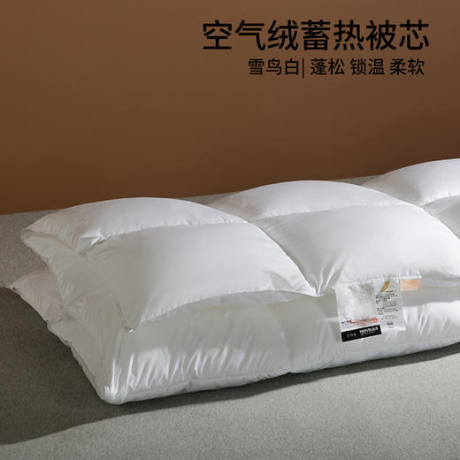 【仿生空气绒被芯】保暖被芯秋冬仿生绒被芯纯色酒店民宿被子双人冬被 商品图3
