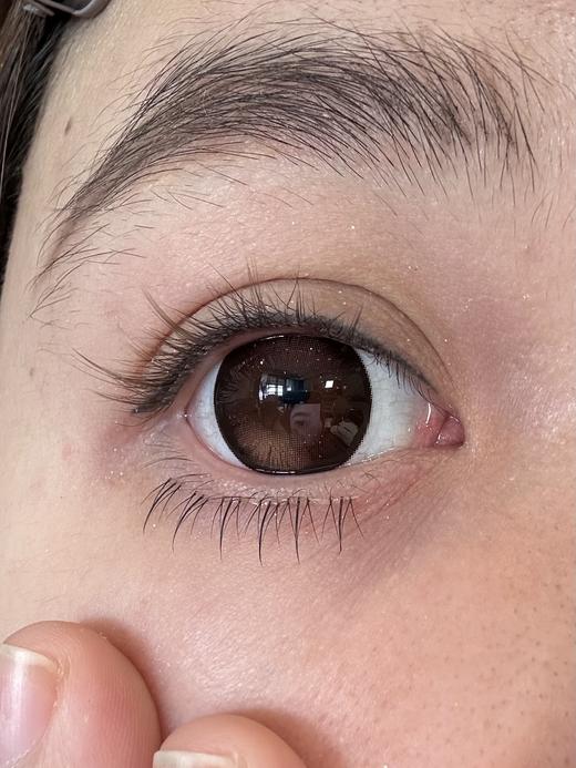 Hanawink半年抛·奥利卷/芝士卷/栗子卷·14.5mm大着色·2片 商品图7