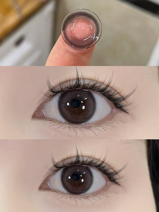 Violet Color 小树莓【日抛】 商品图0