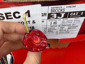  2025/2026季度 智利车厘子快线船期表初版解析