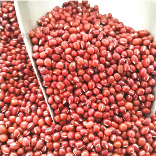 内蒙黄豆、黑豆、赤小豆、绿豆 商品图2
