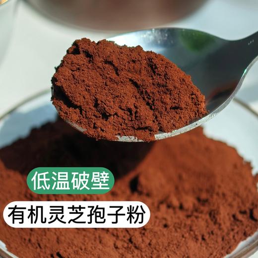 【有机破壁灵芝孢子粉】《买四免一》 低温破壁 破壁率高达99%以上 100克/瓶 商品图0