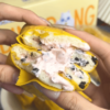 😜蛋皮泡芙卷｜我宣布奥巧和草莓才是顶配！🌟软糯蛋皮吐司裹着奥巧草莓爆浆，💥直接封神！ 【叮咚熊蛋皮泡芙卷（奥巧风味）】💰29.8到手两大箱 商品缩略图3