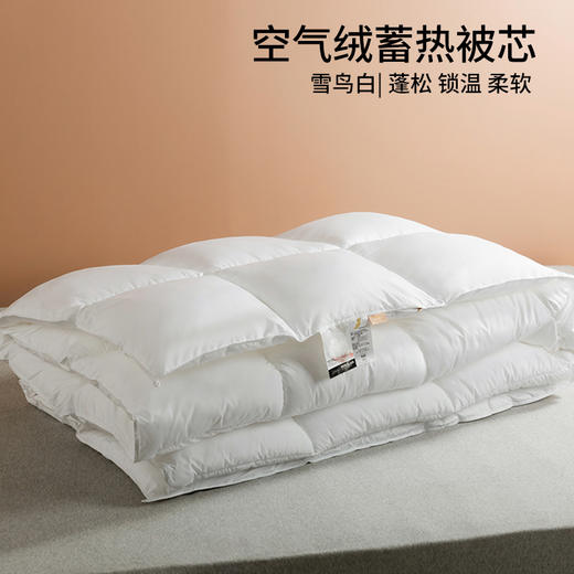 【仿生空气绒被芯】保暖被芯秋冬仿生绒被芯纯色酒店民宿被子双人冬被 商品图1