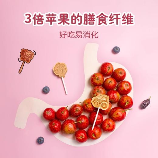 碧欧奇原味山楂真果棒80g 商品图1