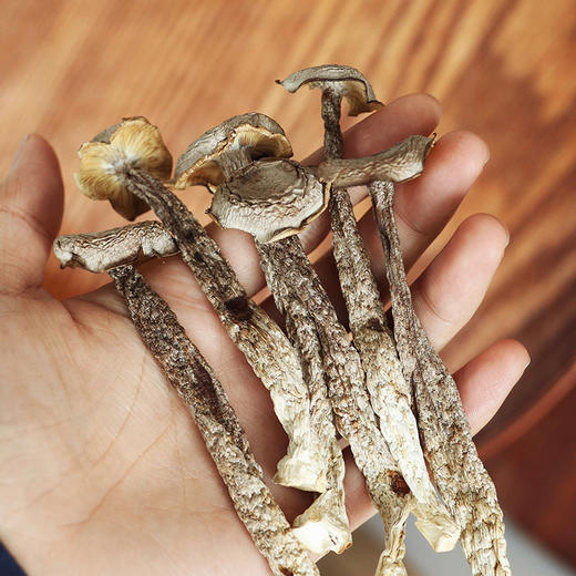 【2袋减5元 3袋减10元】【袋装发货】【新菇上市】特级品质鹿茸菇 干净无泥沙 可煲汤 做干锅菜 营养满满~ 湖州仓 商品图6
