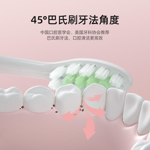 WéllSkins声波电动牙刷 粉色WX-YS200 商品图1