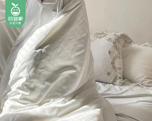 【预售-12月24日配送】喜达人水洗提花贡缎木棉蚕丝被/1件（200*230cm,总克重3kg） 商品图3