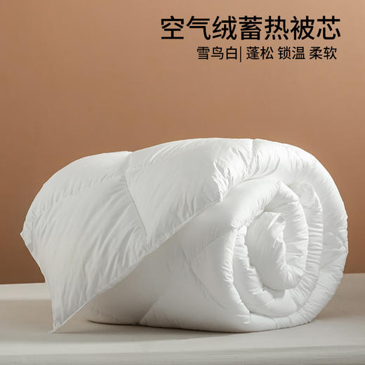 【仿生空气绒被芯】保暖被芯秋冬仿生绒被芯纯色酒店民宿被子双人冬被 商品图0