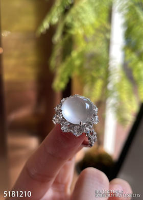 5181210，蛋面戒指。具体价格微信咨询